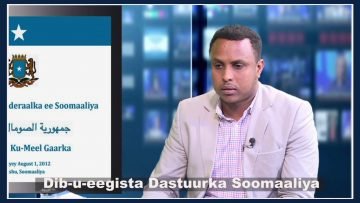 BARNAAMIJKA DIB U EEGISTA DASTUURKA SOOMAALIYA 1