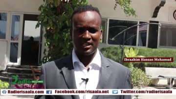 [ID: C5TWBVgRPfY] Youtube Automatic