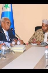 [ID: LdKJTmGYQKE] Youtube Automatic