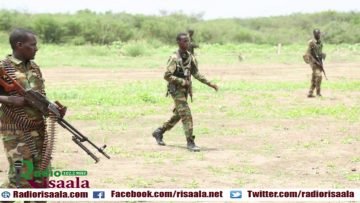 [ID: LSHPYMHX7fE] Youtube Automatic