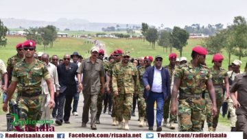 [ID: -m_9nl_EZRU] Youtube Automatic