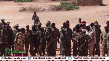 [ID: ngEgSIhcrE8] Youtube Automatic