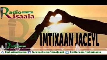 [ID: OKa6VKR5w40] Youtube Automatic