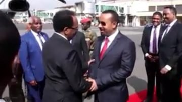 [ID: s4rkwYBljdE] Youtube Automatic