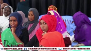 Private: [ID: g2EkeZjdGc0] Youtube Automatic