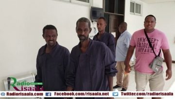 Private: [ID: hmP_NzukCBw] Youtube Automatic