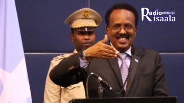 Private: [ID: mb7bD5x2m0s] Youtube Automatic