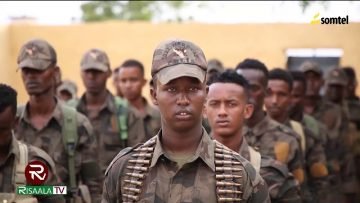 DEG DEG:Siciid Deni iyo Axmed Madoobe oo dalbaday in ciidanka Haramcad laga saaro Dhuusamareeb