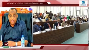 Maxay aheyd ujeedada laga lahaa in la rido Xukuumaddii Raiiusl Wasaare Kheyre?.