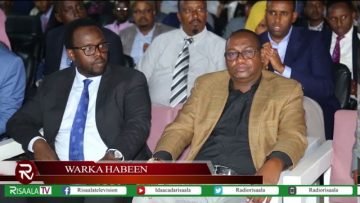 WARKA HABEEN EE RISAALA TV