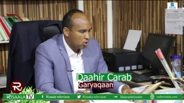Daahir Carab Wasiir Meel uu Kasoo Gali Karo Sharci Meelmaray Majirto Dunidana Kama Dhicin