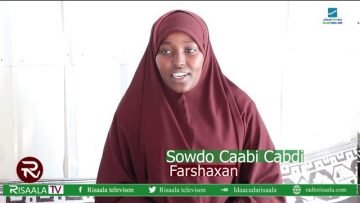 Wax ka ogoow sheekada ku saabsan Sowdo Caabi Cabdi oo ah Hal-abuur Farshaxankeedu cajiib yahay.