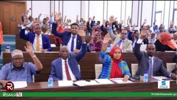 WARKA HABEEN EE RISAALA TV