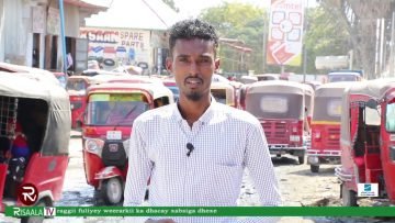 WARKA HABEEN RISAALA TV