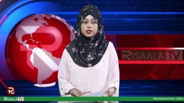 Warka Habeen Risaala TV