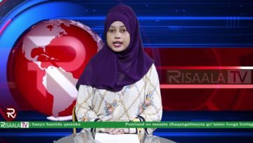 TOOS: WARKA HABEEN EE RISAALA TV