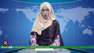 TOOS:WARKA HABEEN RISAALA TV