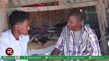 Xuseen Sandheerer oo ka shaqeeya Tolliinka Kabaha Waxey igu caayaan xirfadeyda,