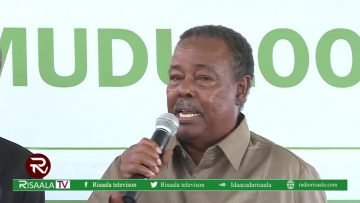 Dolwadda Somalia oo muddo saddex cisha ah hoos u dhigtay calanka