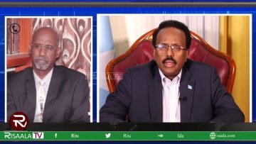 Prof. Xasan Sheekh Cali Nuur Farmaajo waa nin aan waxba dhowreyn oo wax kasta laga filan karo
