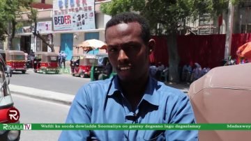 WARKA HABEEN RISAALA TV