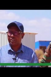 WARKA HABEEN RISAALA TV