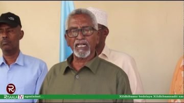 WARKA HABEEN RISAALA TV