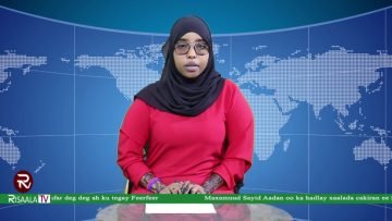 WARKA HABEEN RISAALA TV