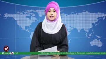 WARKA HABEEN RISAALA TV