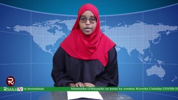 WARKA HABEEN RISAALA TV