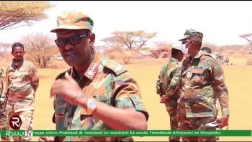 Maxaa kasoo kordhay Shirka Afisyooni ka socda? Masar oo Soomaaliya baaq muhiim ah usoo jeedisay