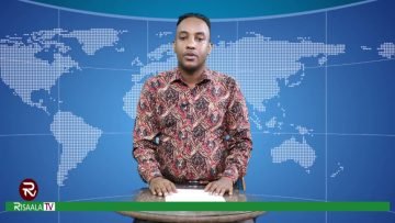 Warka Galab ee Risaala Tv