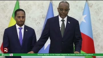 [ID: 12h5t8e9jJI] Youtube Automatic