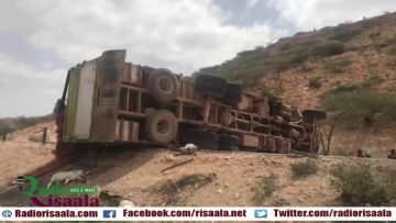 [ID: 5VShtA76y2I] Youtube Automatic