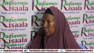 [ID: AB7aHdnzqg8] Youtube Automatic