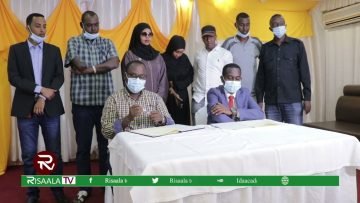 [ID: Bl6qigeVEwg] Youtube Automatic