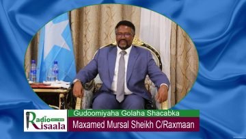 [ID: CIgx34fu6H8] Youtube Automatic