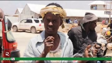 [ID: JdxTkkbv82A] Youtube Automatic