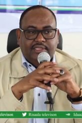 [ID: JYpSkLT-Fxg] Youtube Automatic