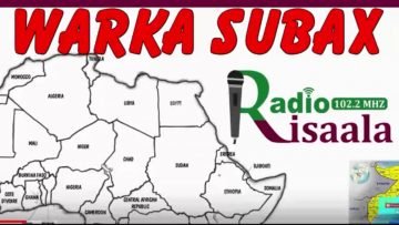 [ID: N1_YvP3GM8U] Youtube Automatic