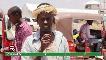 [ID: R9sWwrVTuUU] Youtube Automatic