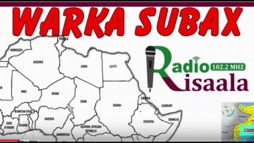 [ID: v81UyB2HTkQ] Youtube Automatic