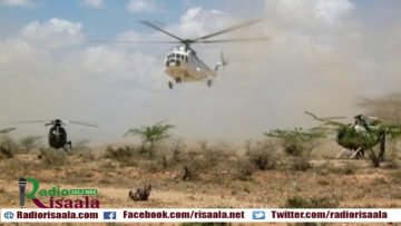 [ID: ZqVfu3snN-Q] Youtube Automatic