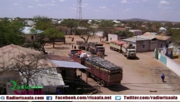 [ID: zumSOIYrgbU] Youtube Automatic