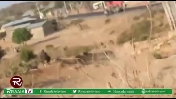 7 Ruux oo lagu dilay meel lagu dooranayay Ugaas dowlad degaanka Soomaalida