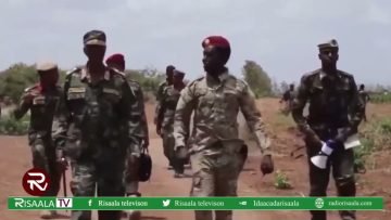 Ciidanka dowladda oo howlgal ku qabtay Xubno katirsan Al-Shabaab