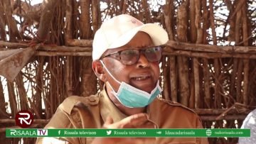 Wasiirka amniga Jubbaland oo sheegay in ay soo dhaweynayaan qof walba oo ka soo goosta Al-shabaab is