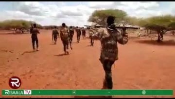 Ciidanka DANAB oo howlgal ku qabtay Xubno katirsan Al-Shabaab kadid howwgal laga sameeyay Gobol…