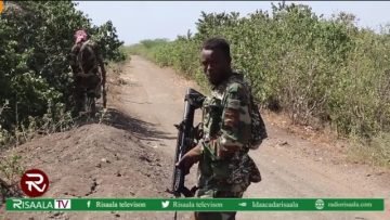 Ciidanka NISA oo howlgal qorsheysan ka fuliyay Gobolka Gedo