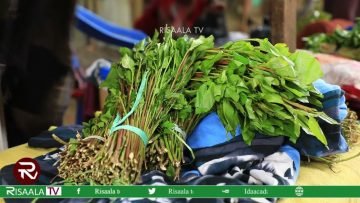 Ganacsato laga joojiyey isha dhaqaale ay lahaayeen oo hadda rajeynaya in dib shaqadooda u bulaasho.